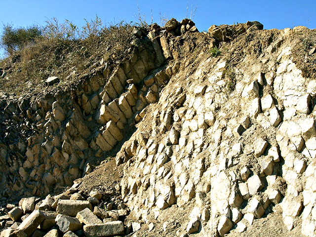 opbrossa-pedrera-cansaboia-columnes-basaltiques-2